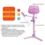 Dream Star Kids Karaoke Microphone With MP3 Functional Use & Adjustable Height